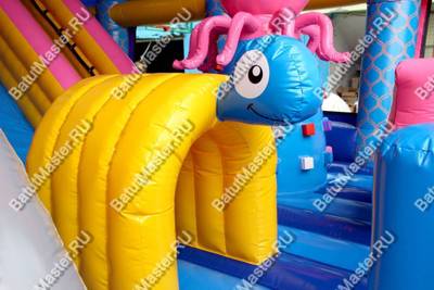 Надувной батут с крышей "Дельфинарий" 11*8*7 м