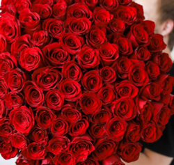 Букет из 101 красной розы Premium