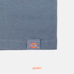  Футболка мужская Dickies Enterprise артикул:DK0A4YRNG701 - купить в магазине Дайс