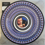 Rick Astley - Never Gonna Give You Up - Zoetrope 12''