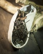 Лао Шоу Мей 2018 г