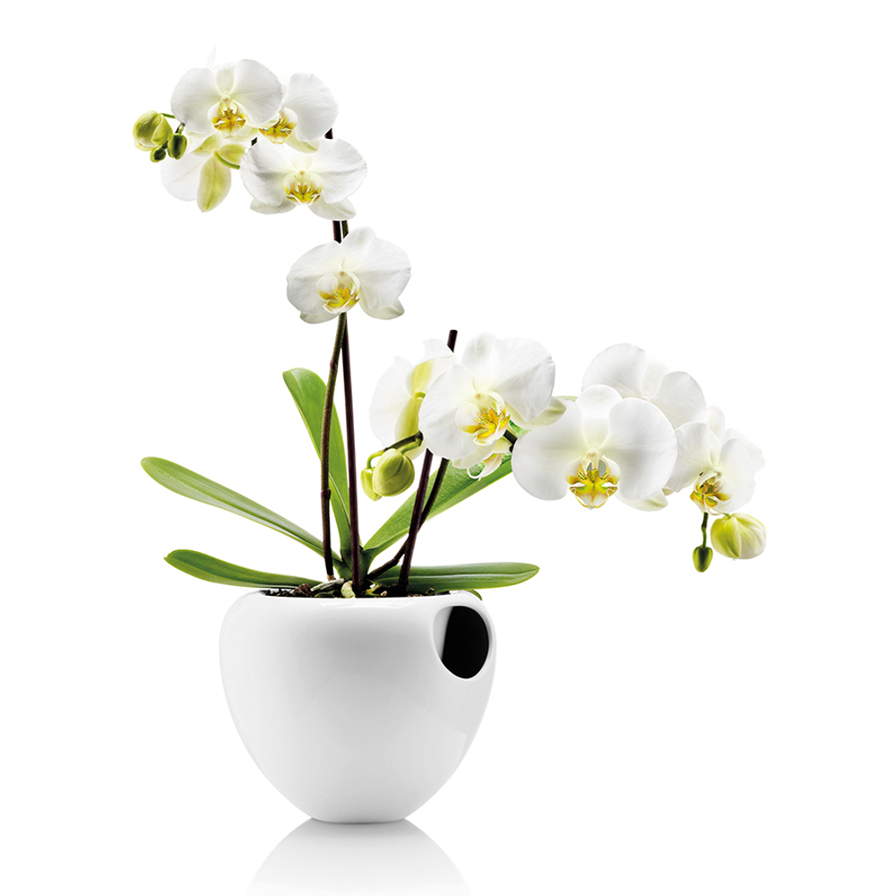 Горшок для орхидеи Orchid pot белый, Eva Solo