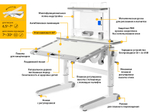 Детский стол Mealux Ergowood - L Multicolor+ полка BD P-17 TG (арт.BD-810 TG/MC Energy + BD P-17 TG)