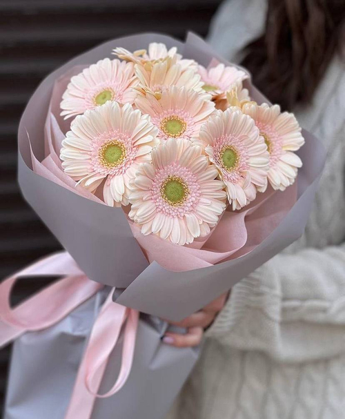 Букет из розовых гербер "Blossom Kiss"