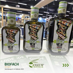 Оливковое масло Olеum Sicilia BIO 0,5 л, Сицилия, Италия