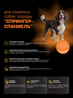 Корм сухой для пожилых собак породы Спрингер-спаниель старше 5 лет, с индейкой, 12 кг, QUATTRO