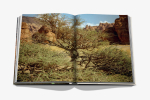 Книга Assouline AlUla Flora в твердом переплете