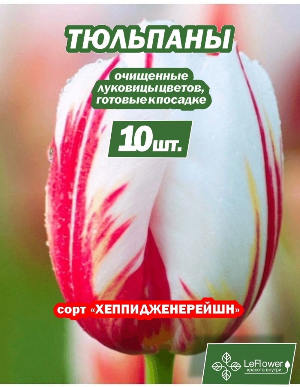 Тюльпан Луковица, Хаппи Дженерейшн, 10шт