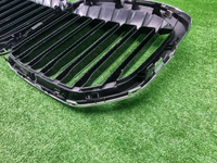 Решетка радиатора BMW X7 G07 (2019-2022)