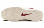 Кроссовки Nike Sb Vertebrae