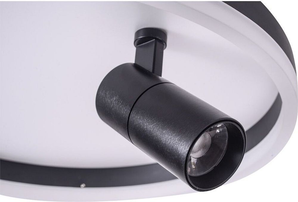 Накладной светильник Zortes Raizy ZRS.1888.03