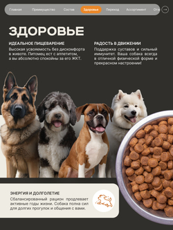 Корм сухой для взрослых собак породы Американский стаффордширский терьер, премиум полнорационный комплекс, с индейкой, 2,5 кг, QUATTRO