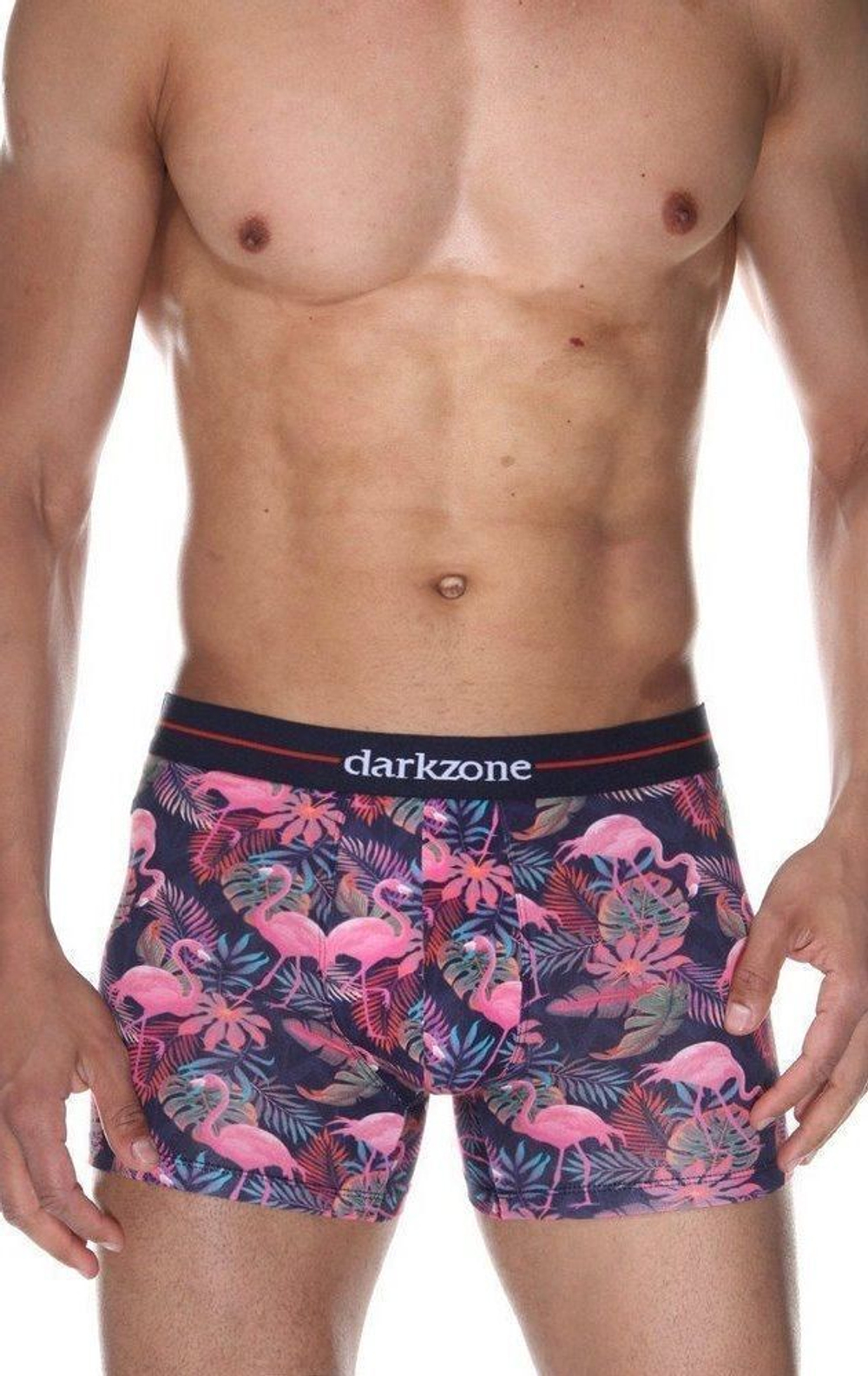 Мужские трусы-боксеры с принтом в виде розовых фламинго (Размер: XL) (Цвет: темно-синий)