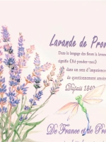 Поднос металлический