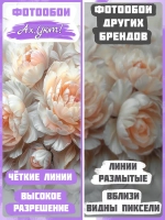 Объемные фотообои 3D оранжевые пионы