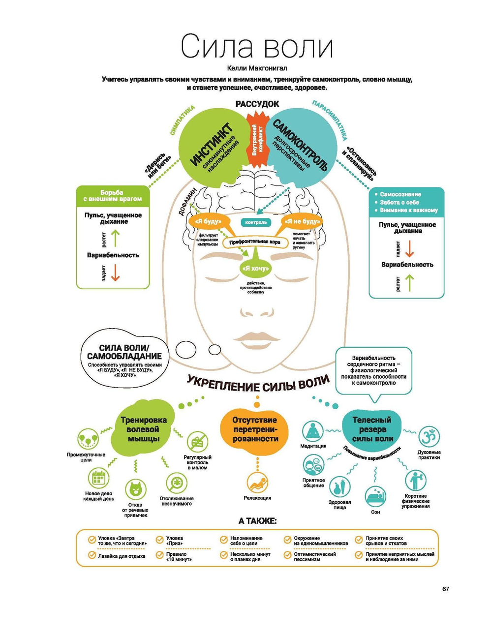 Год полезных привычек: Визуальный гид по освоению привычек, определяющих ваше счастье и благополучие, на основе 12 бестселлеров | Smart Reading