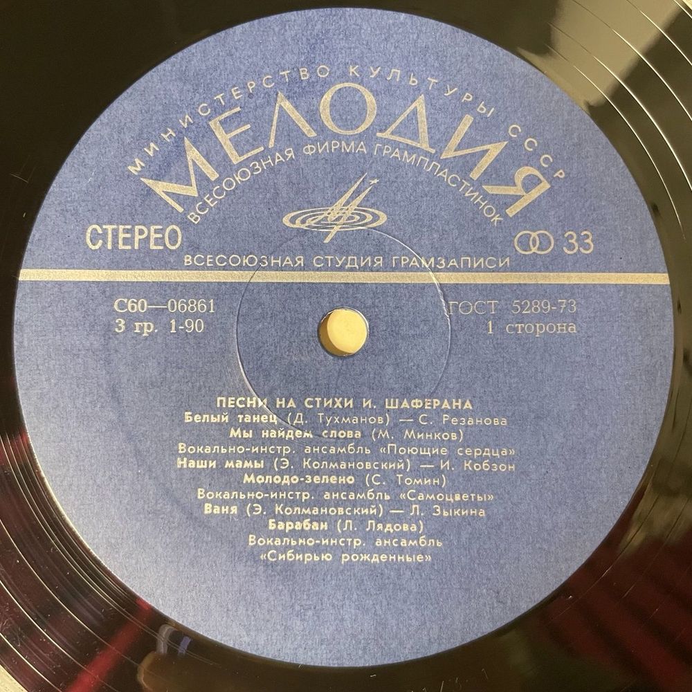 Винтажная виниловая пластинка LP Игорь Шаферан Песни На Стихи (СССР 1976) (Ободзинский, Толкунова, Песняры, Соющие Сердца)
