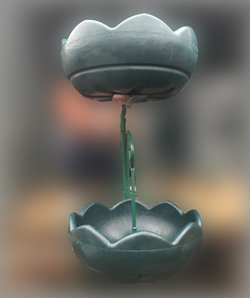 Цветочница Улитка двойная