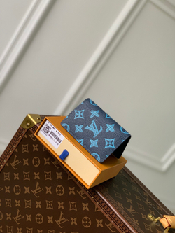 Louis Vuitton Pocket Organizer