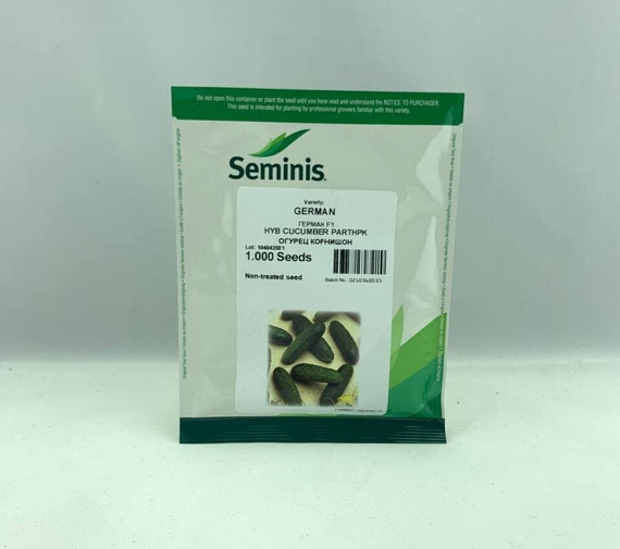 ГЕРМАН F1 семена огурца (Seminis | Alexagro) – фото 29