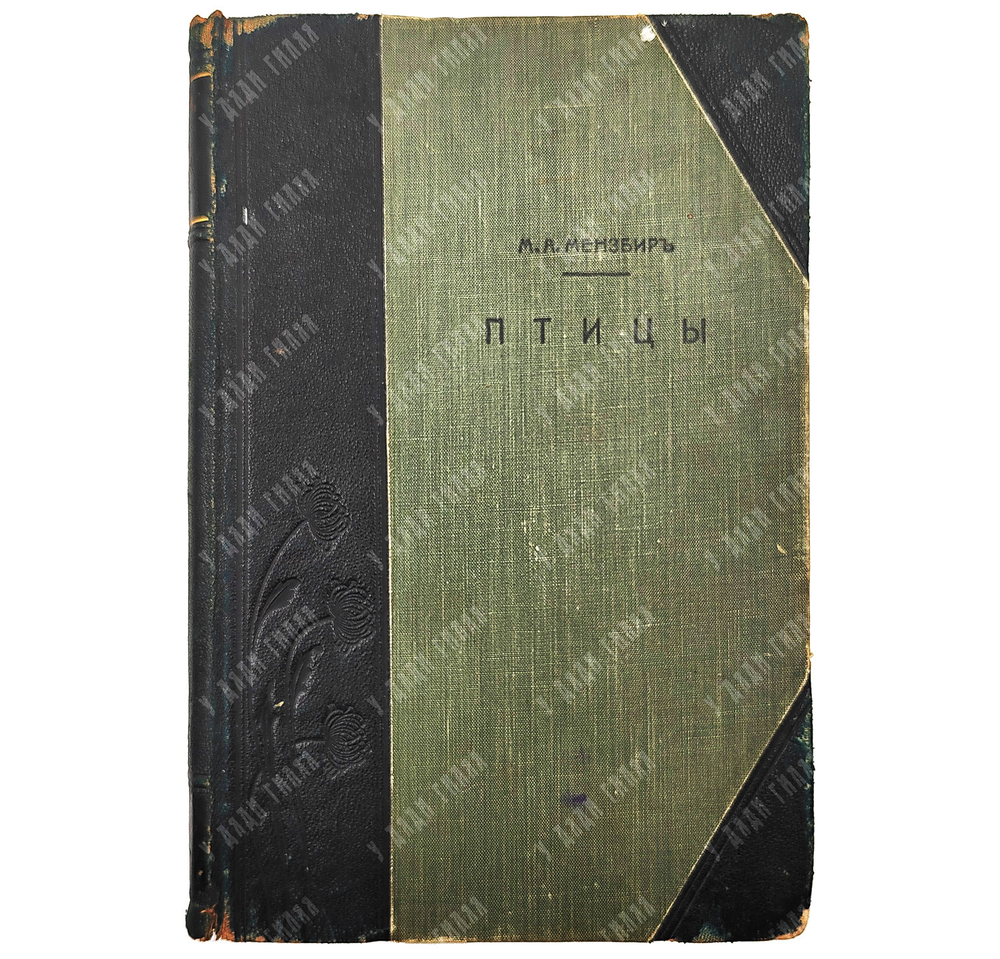 Мензбир М. А. Птицы. - СПб.: Типография Акц. общ. Брокгауз-Ефрон, 1904–1909.