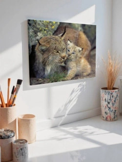 Картина на стену 40 X 50 Рысь с детенышем
