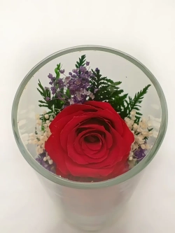 натуральные цветы в стекле, вакуум