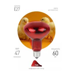 Комплект из 2-х инфракрасных ламп ЭРА ИКЗК 230-60 R63 E27 для курятника цыплят птиц животных/лампа для обогрева | Инфракрасные лампы