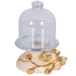 Лимонница Орхидея Лайм Айвори