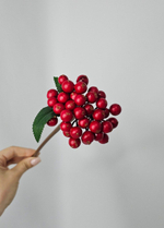 Ягоды / Арт 8048