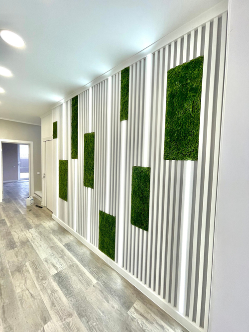 Вертикальное озеленение частного интерьера искусственным мхом. г.Краснодар