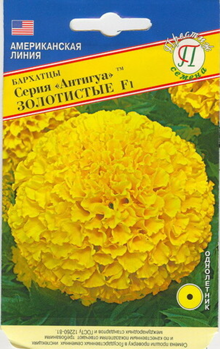 Бархатцы Антигуа Золотистые Престиж