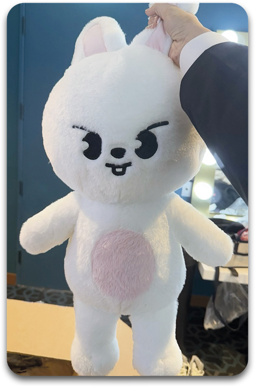 Карта / STRAY KIDS #2458