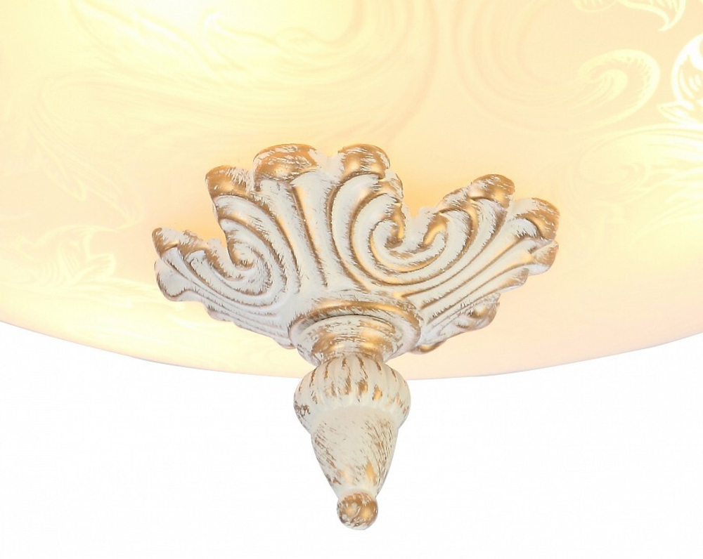 Накладной светильник Arte Lamp A4541PL-3WG