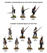 Napoleonic Duchy of Warsaw Infantry, 1807/Пехота Наполеоновского герцогства Варшавского/PMDOW2
