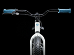 Детский велосипед Trek Precaliber 20 CST G S (2020)