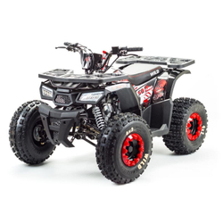 Квадроцикл MOTOLAND Wild 150