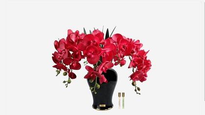Диффузор Букет орхидей IMPERIAL ORCHID Cote Noire One Size Красный