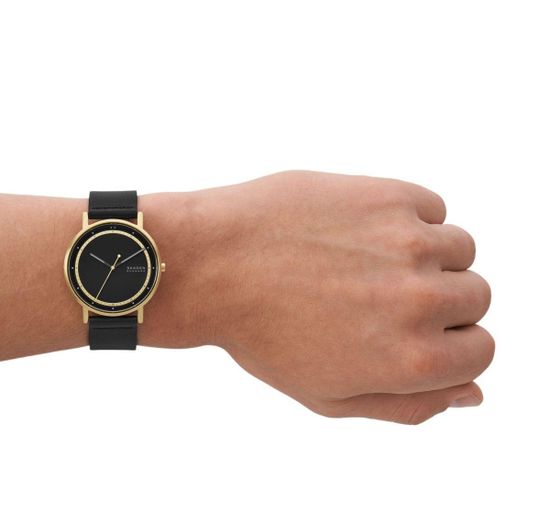 Мужские часы Skagen SKW6897