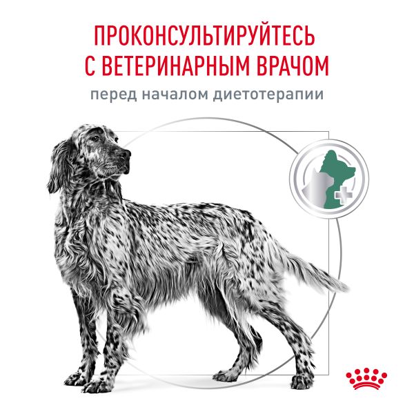 Сухой корм Royal Canin Diabetic для взрослых собак при сахарном диабете
