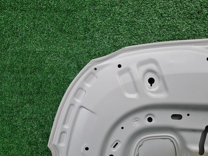 Капот Hyundai Santa Fe 4 TM (2020-2024)