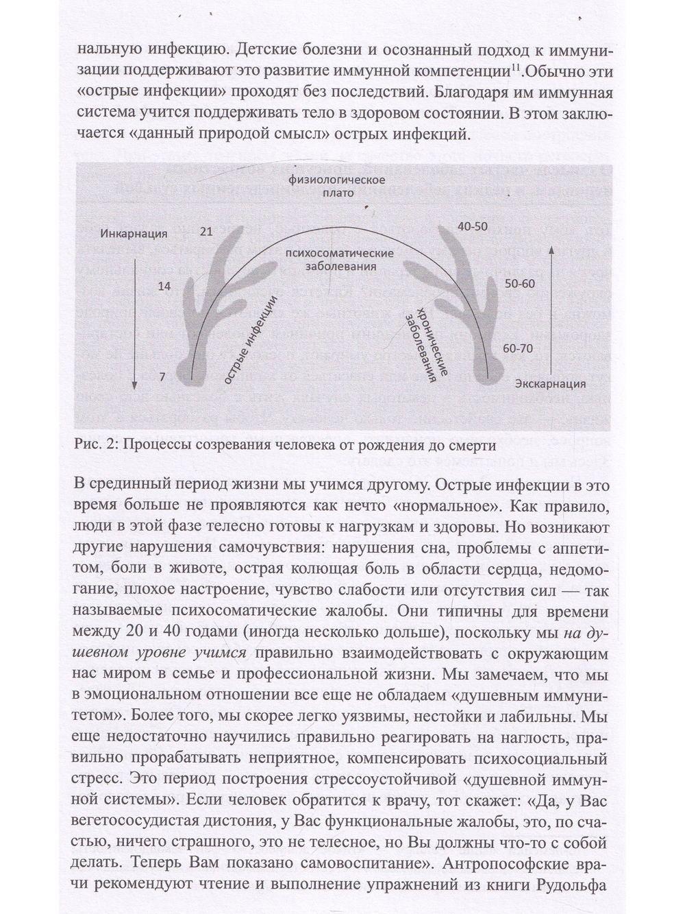 Медитация в антропософской медицине