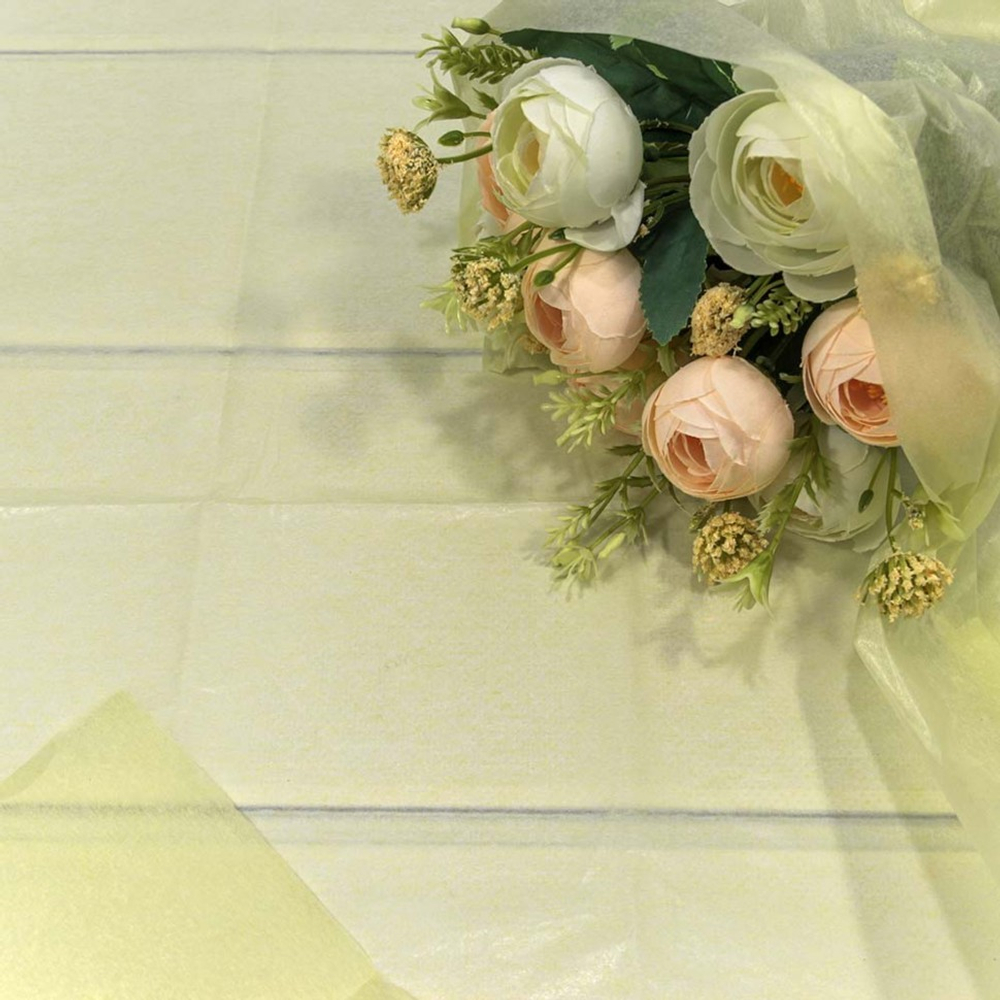 Бумага В листах 10 шт "Тишью" 50 х 66 см (Бежевый)