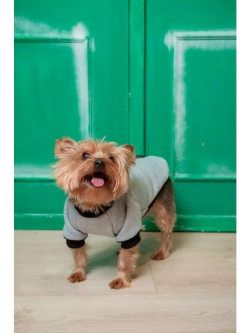 Толстовка для собак и кошек