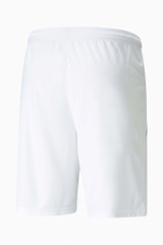 Шорты Puma teamLIGA