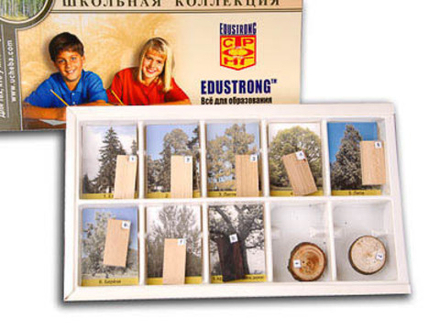 Коллекция "Древесные растения и их распространение" раздаточная