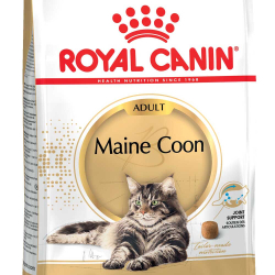 Royal Canin Maine Coon корм для кошек породы Мейн-кун с курицей (Adult)