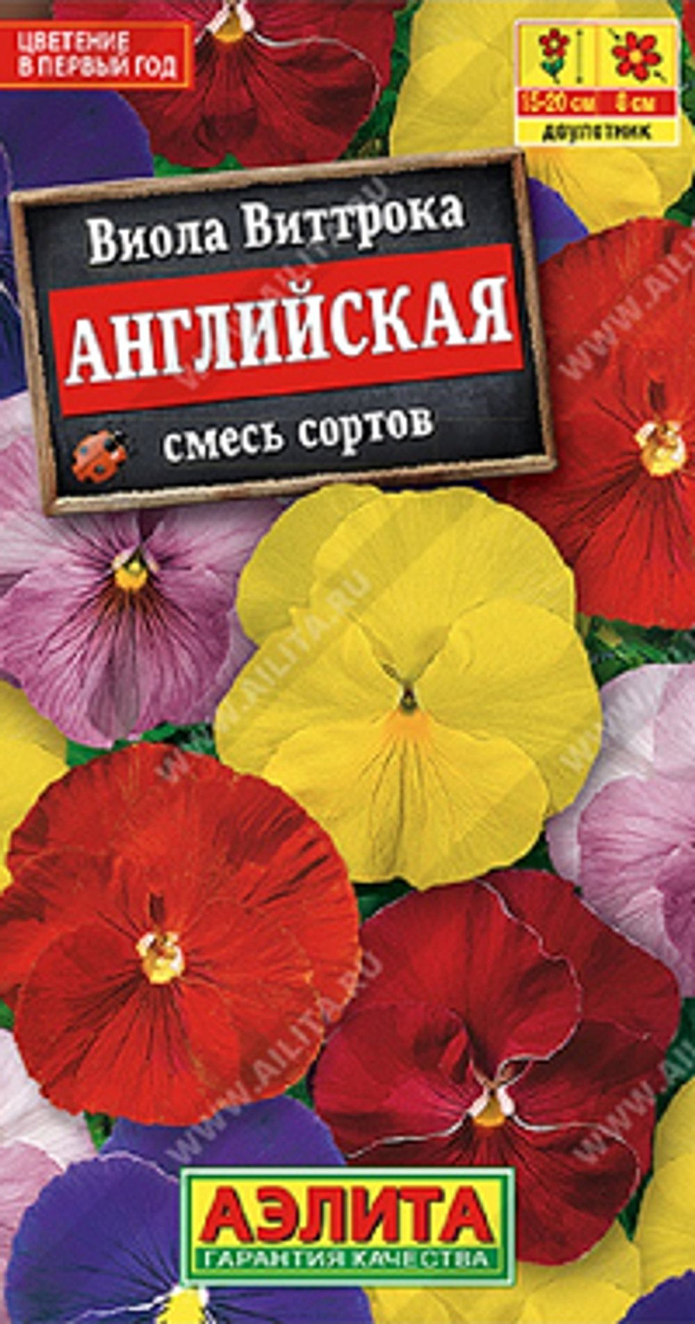 Виола Английская, смесь сортов