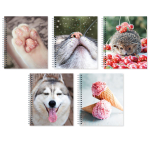 Тетрадь А5 48л клетка, на гребне "Блестящие и милые" (Эксмо)