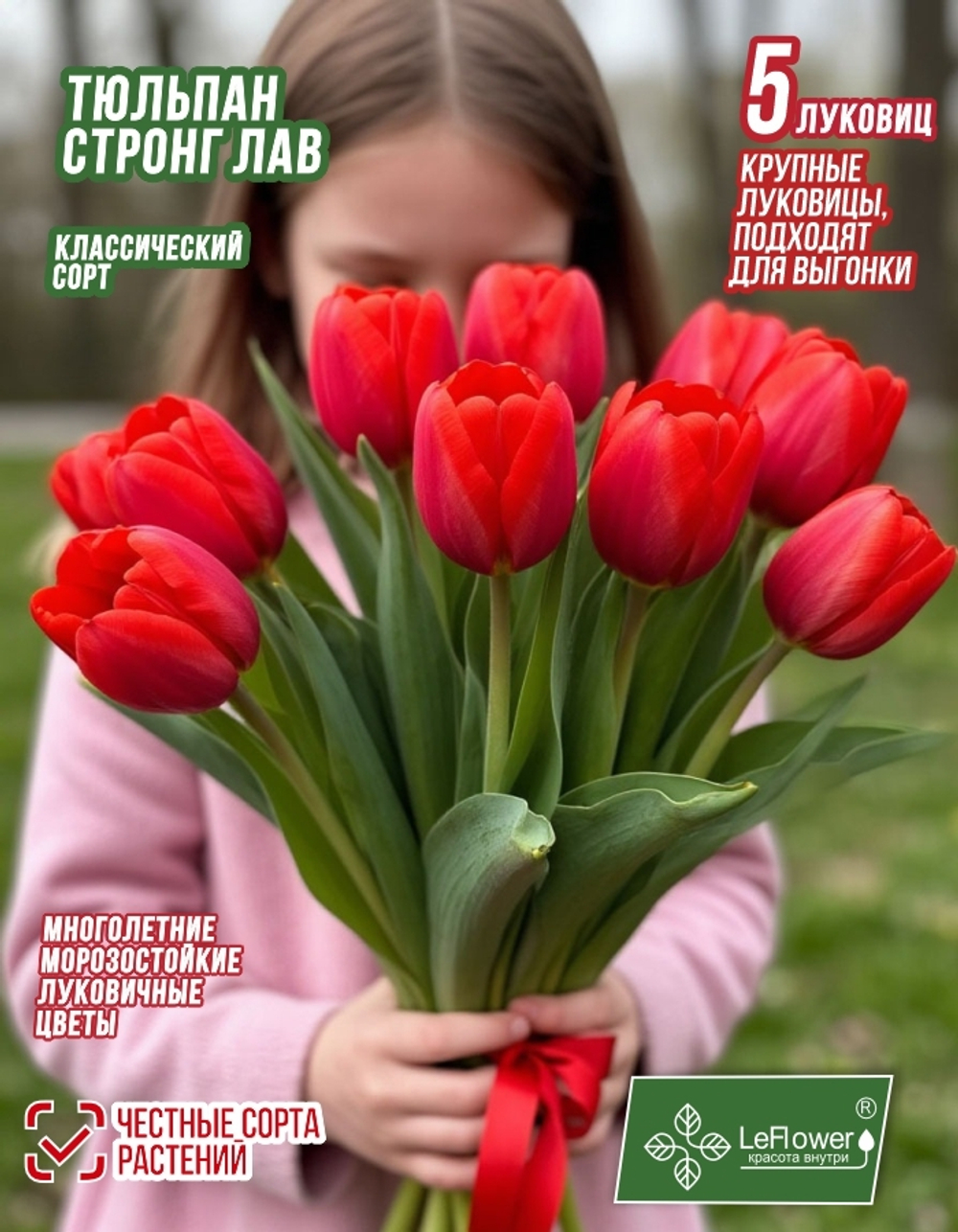 Тюльпан Луковица, Стронг Лав 5 шт